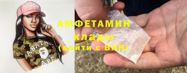 ГАЛЛЮЦИНОГЕННЫЕ ГРИБЫ Коряжма